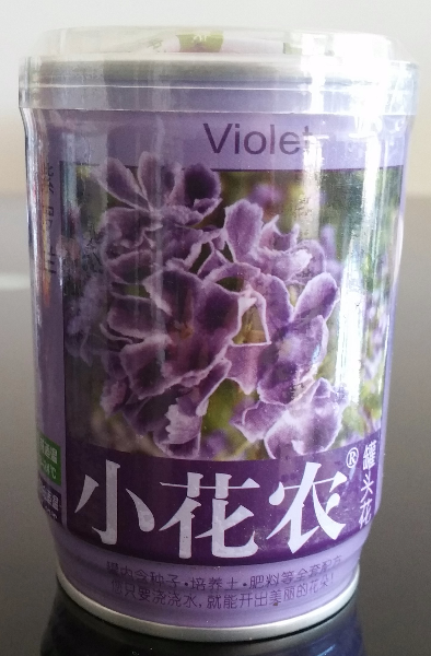 罐头花，紫罗兰