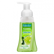 Palmolive|Antibacterial Foaming Hand Wash Lime - 250mL